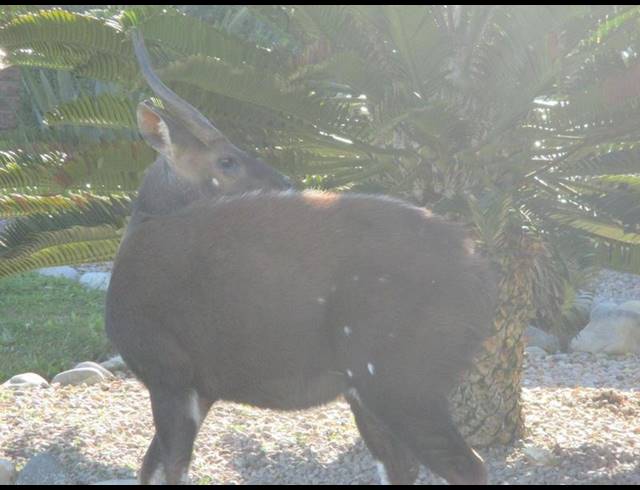 LAND FOR SALE IN DANA BAY